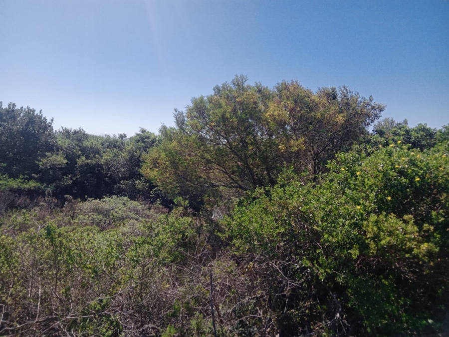 Commercial Property for Sale in Paradise Beach Eastern Cape